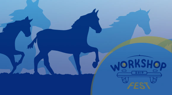 Omega Workshop Fest — <br>в погоне за «Лошадиными силами»